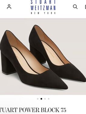 Stuart Weitzman Power Block Black Suede Pointed Block-Heel Pump